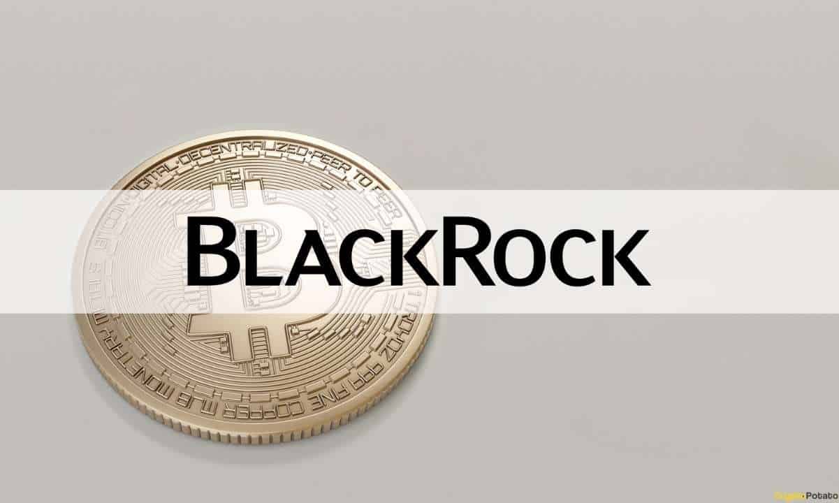 Institutional Adoption of DeFi is 'Many Years Away,' Says BlackRock Executive