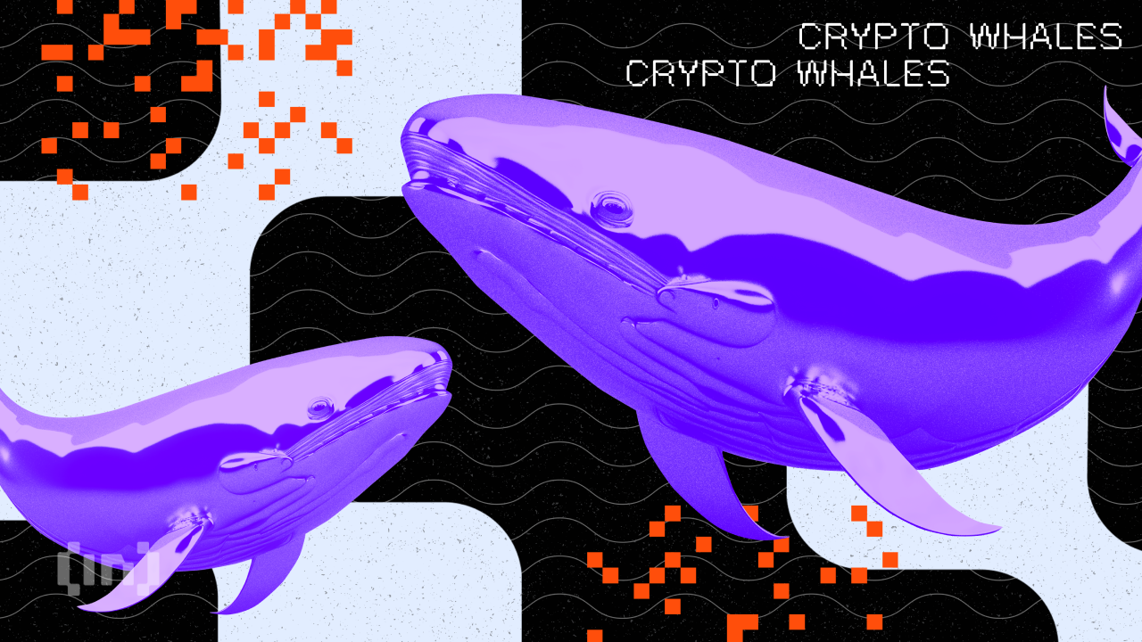 Whales Accumulation: On-Chain Platform Flags Withdrawals of These Four Tokens