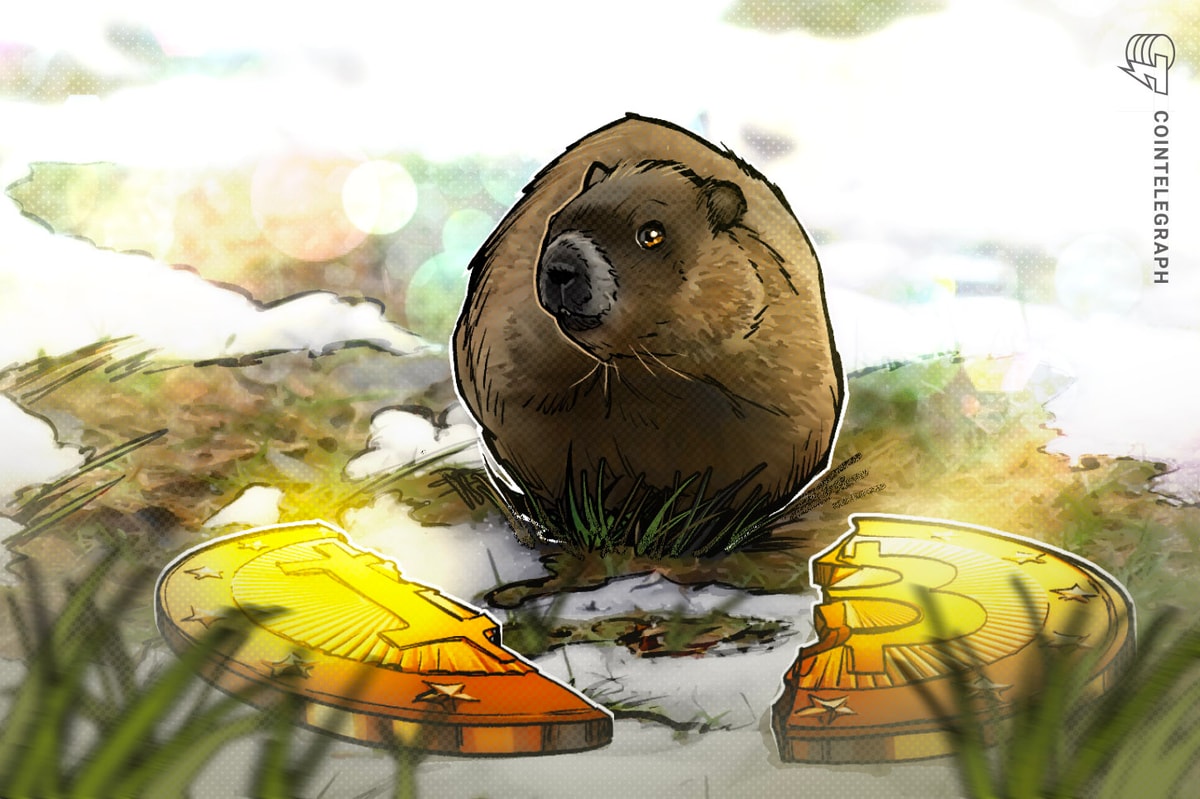 Bitcoin halving date bet vs. Groundhog prediction: Choose your fighter