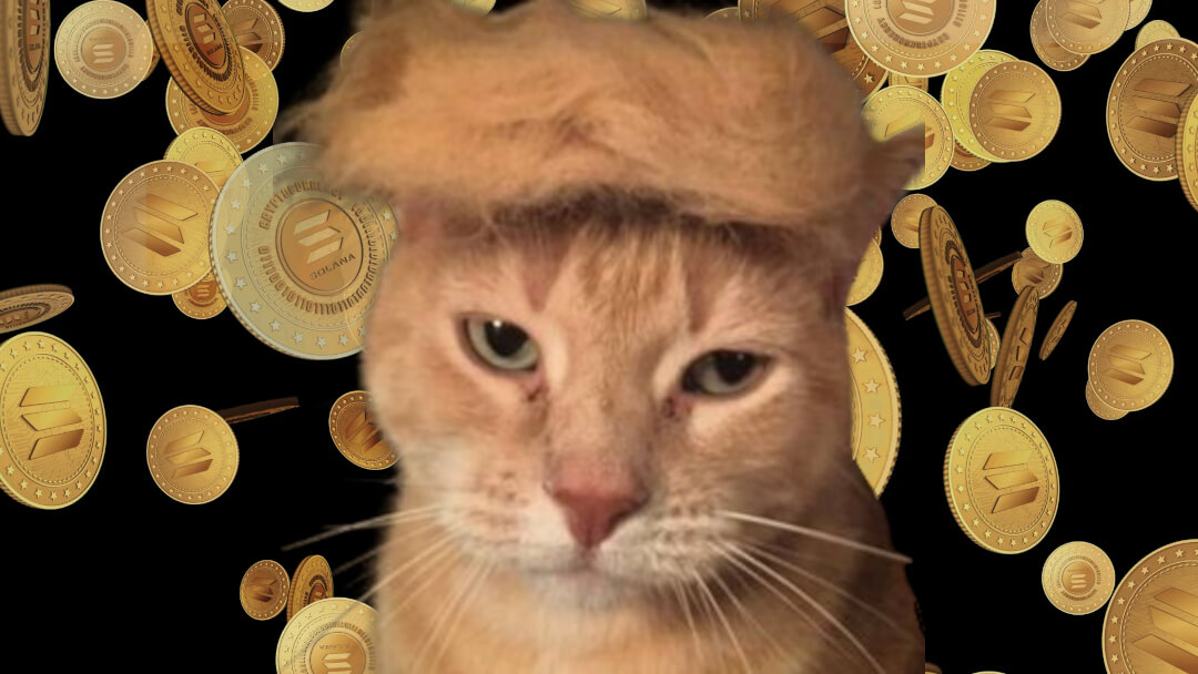 “Meowing America Great Again” - This new cat-meets-Trump PolitiFi memecoin launches today