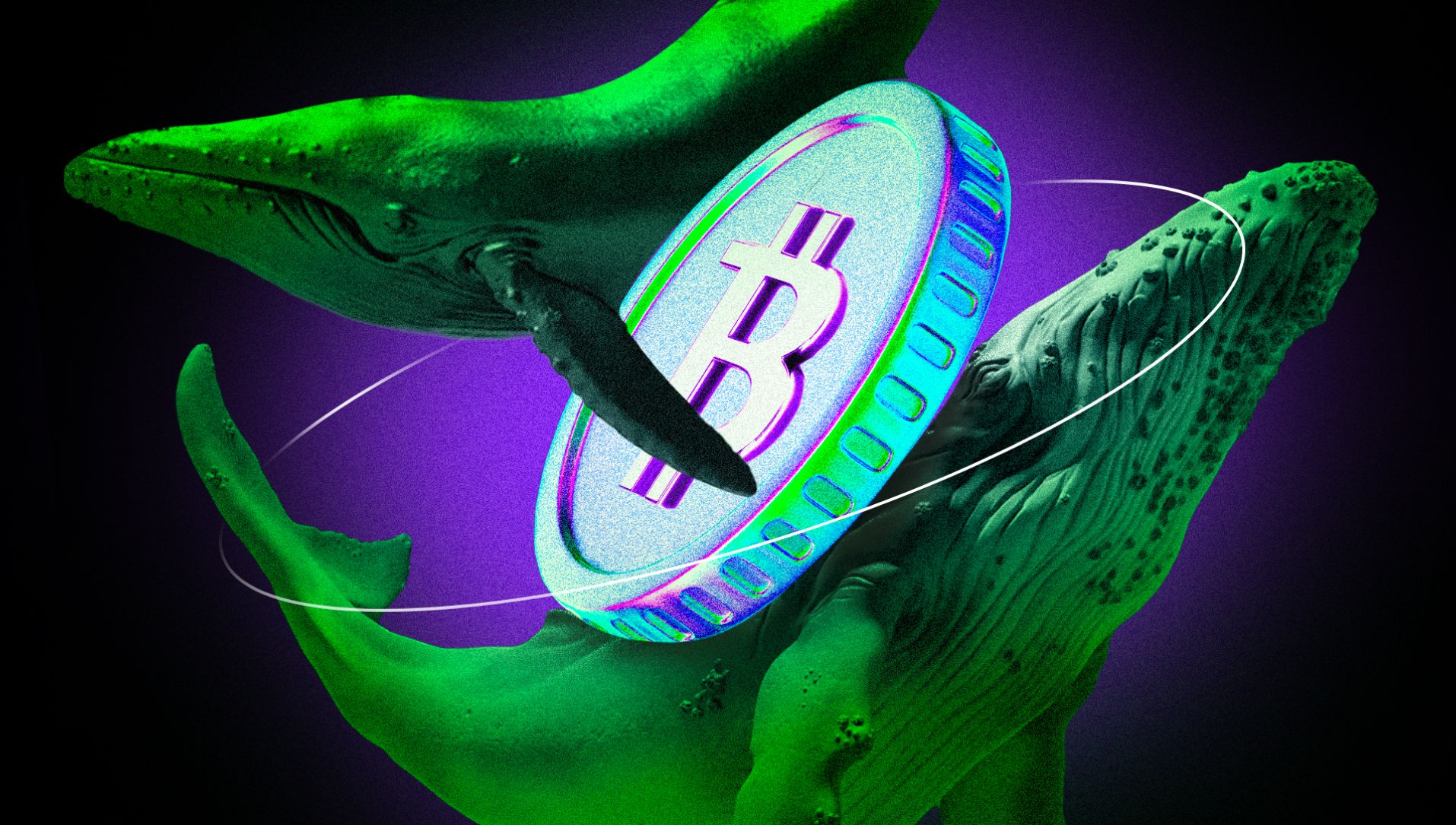 Crypto Whales Continue to Buy the Dip, Scooping Up $227 Million in Bitcoin